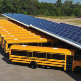 School/ Colleges School/ Colleges